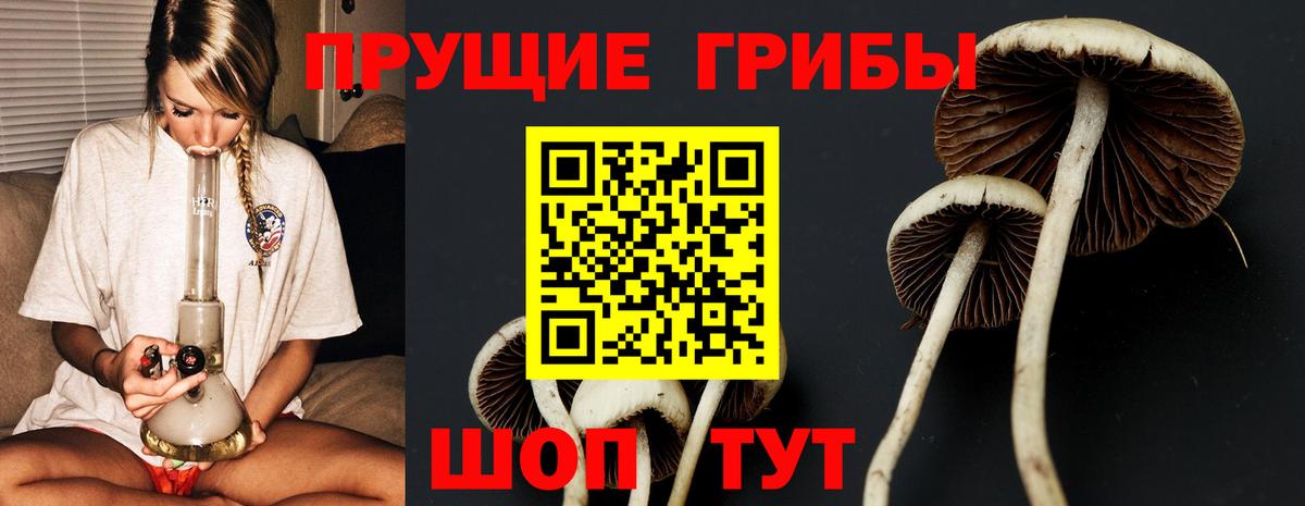 Галлюциногенные грибы Magic Shrooms  Псилоцибиновые грибы мухоморы  Боровичи  Вход с VPN 