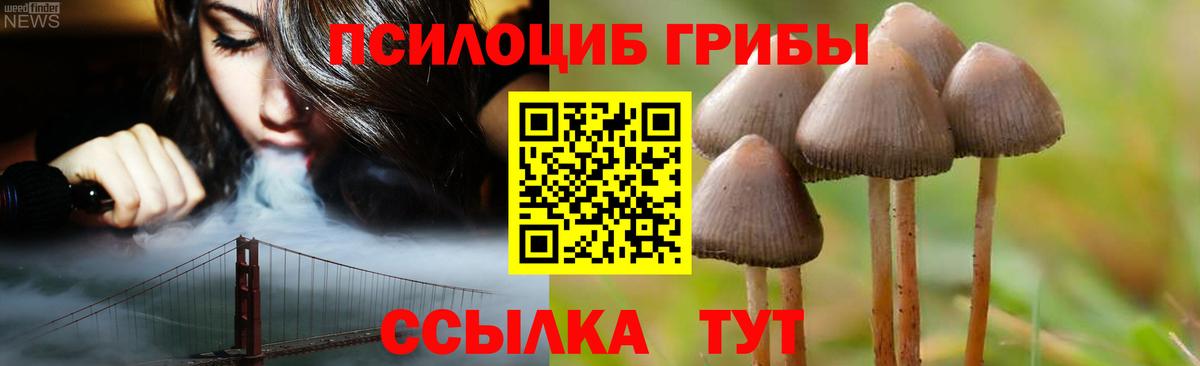 Галлюциногенные грибы мухоморы Боровичи
